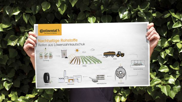 Continental Tires Infografik