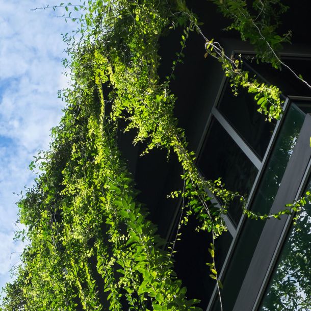 Foto mit Laptop und der Duensing Webseite