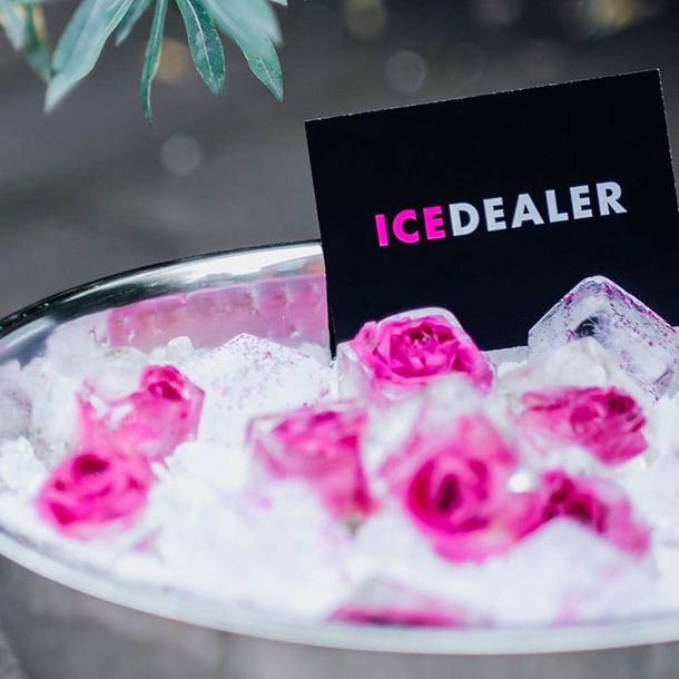 Eiswürfel mit Rosen
